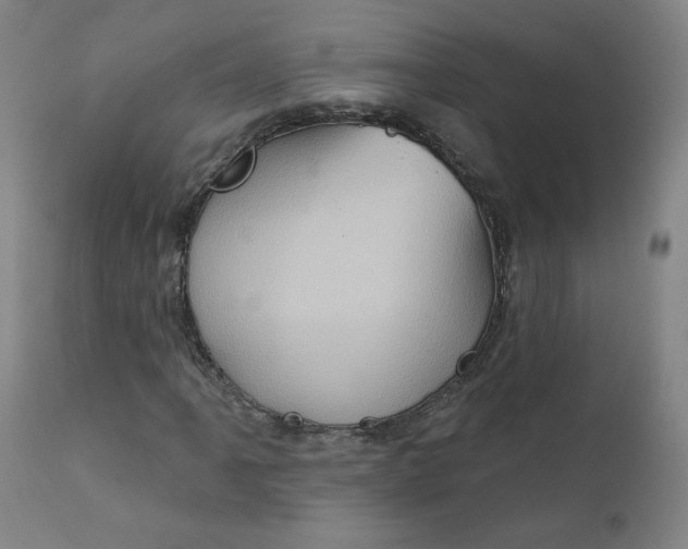 X0000112161061200909041121