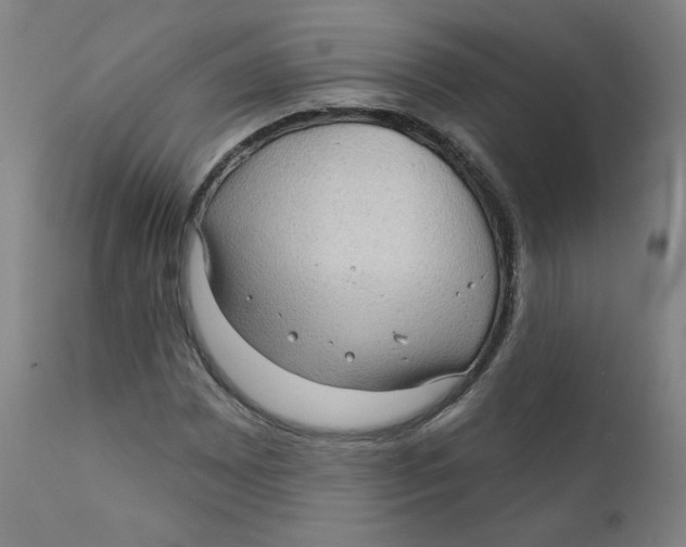 X0000112161065200909041121