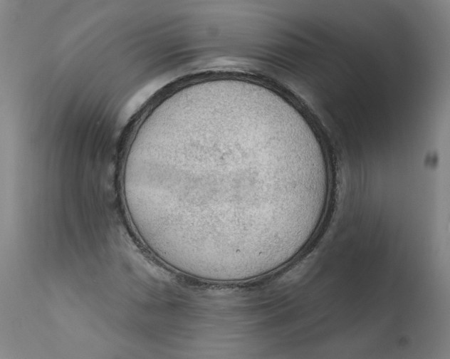 X0000112161066200909041121