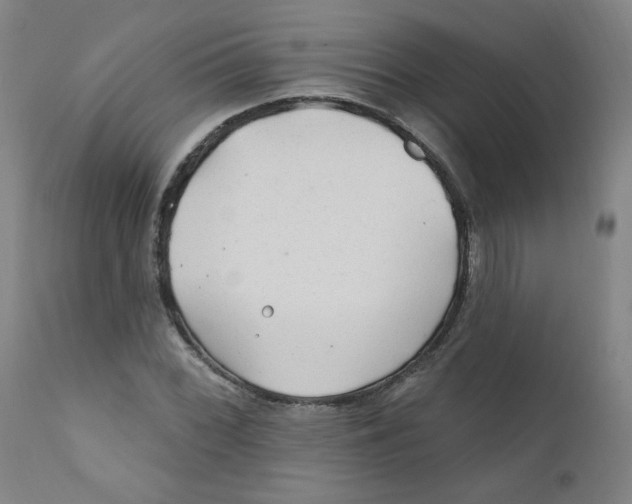 X0000112161068200909041121