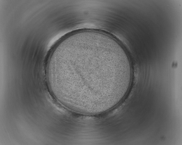 X0000112161070200909041121