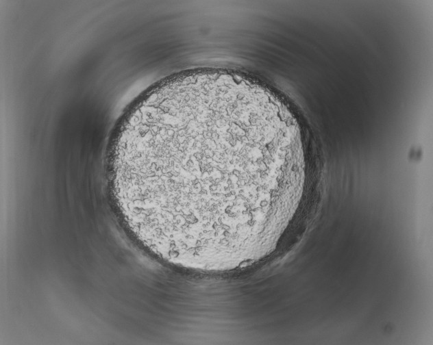 X0000112161071200909041121