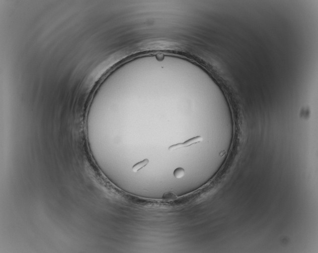 X0000112161073200909041121
