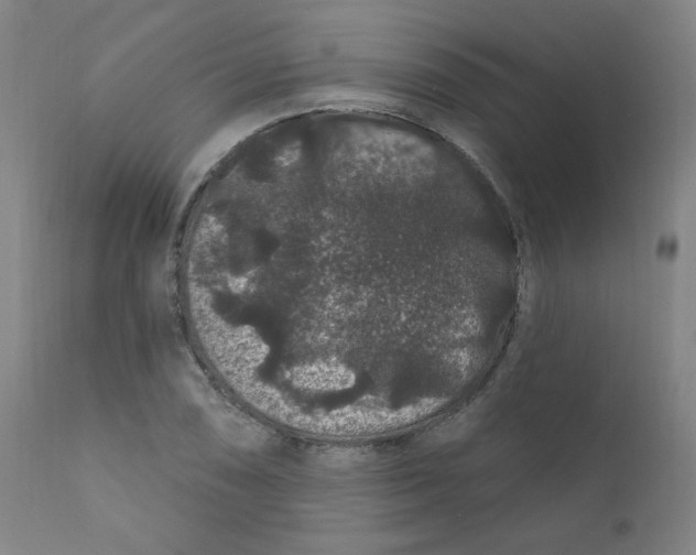 X0000112161074200909041121