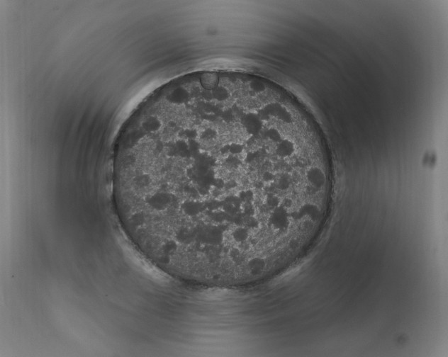 X0000112161075200909041121