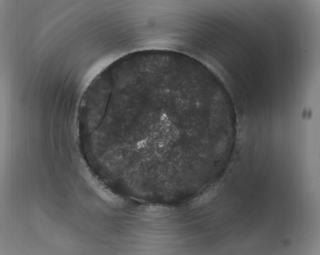 X0000112161077200909041121