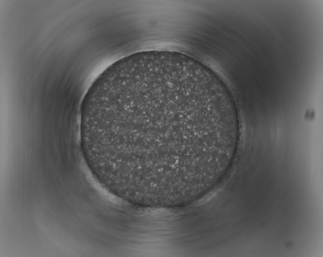 X0000112161079200909041121