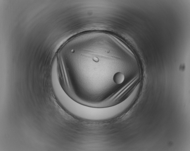 X0000112161081200909041121