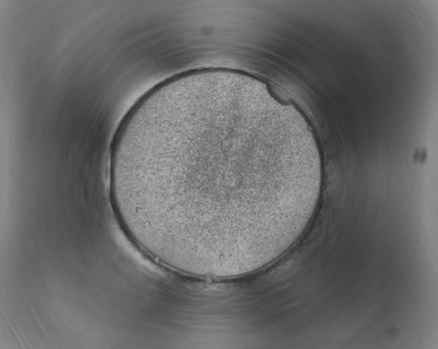 X0000112161084200909041121