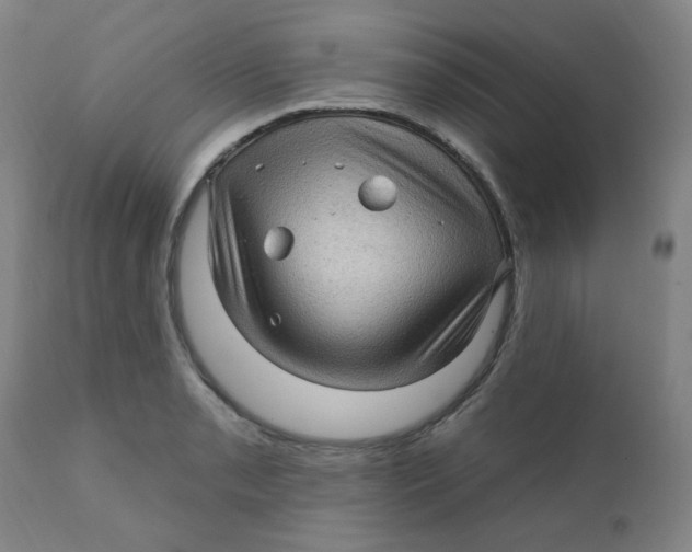 X0000112161085200909041121