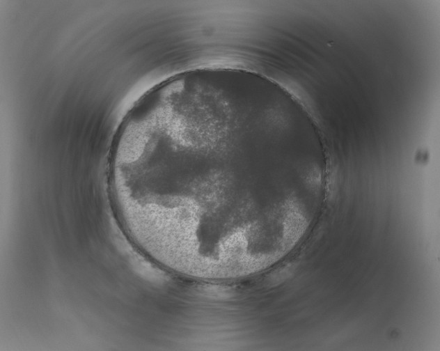 X0000112161086200909041121