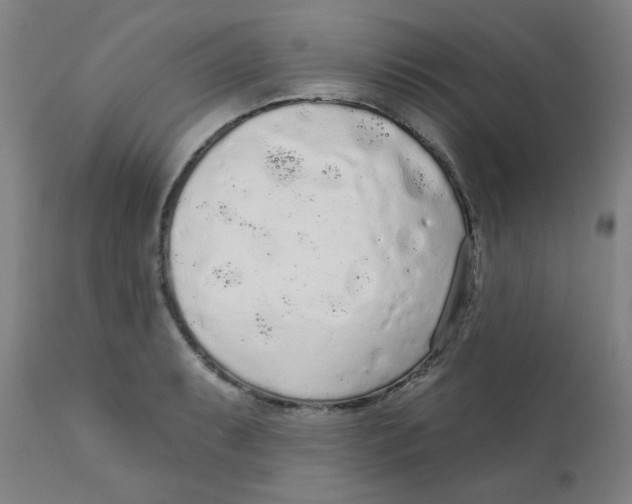 X0000112161087200909041121