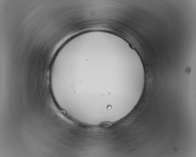 X0000112161092200909041121