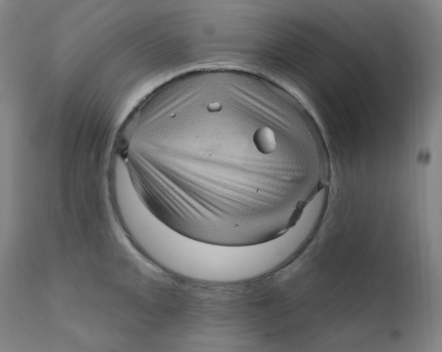 X0000112161093200909041120