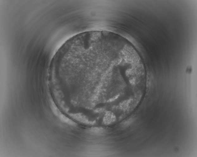 X0000112161094200909041120