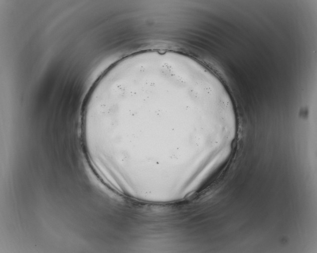 X0000112161095200909041120