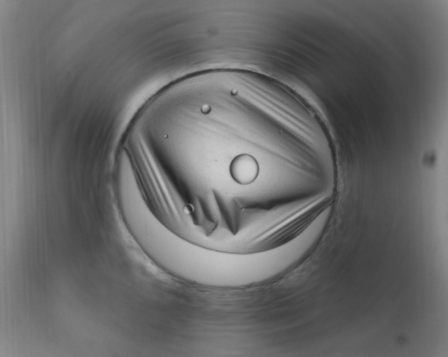 X0000112161096200909041120