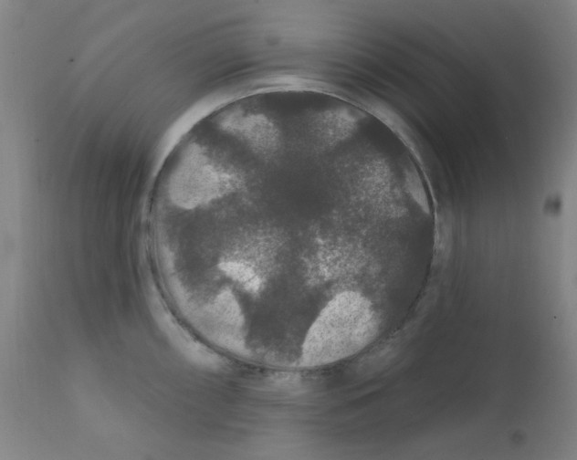 X0000112161098200909041120