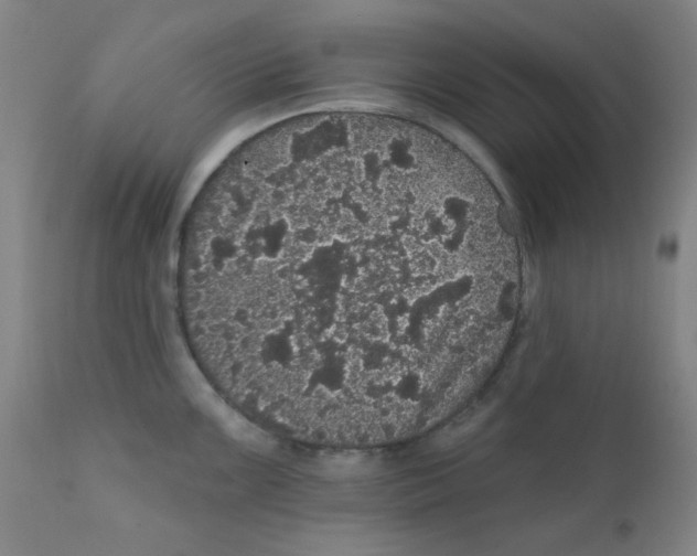 X0000112161099200909041120