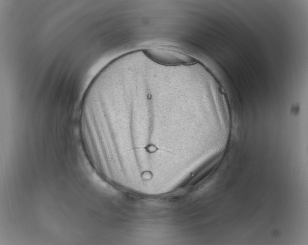 X0000112161102200909041120