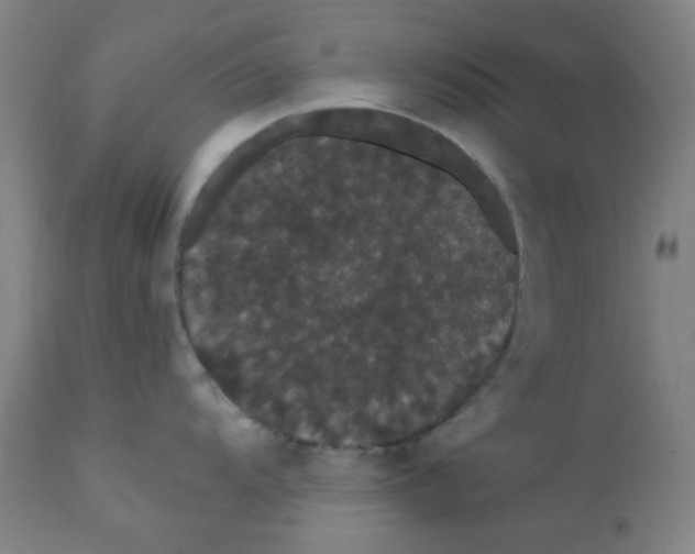 X0000112161104200909041120