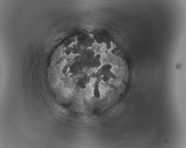 X0000112161105200909041120