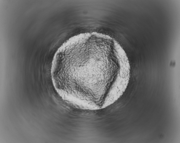 X0000112161106200909041120