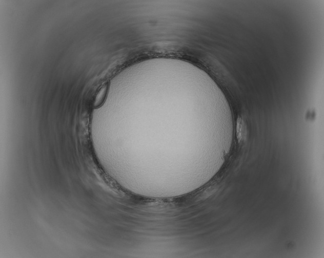 X0000112161107200909041120