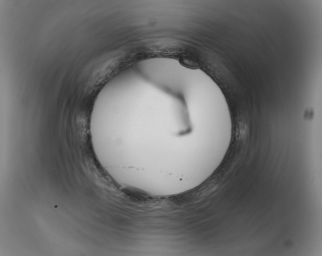 X0000112161108200909041120