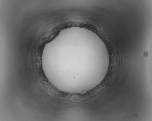 X0000112161109200909041120