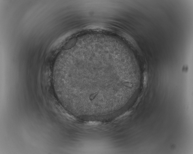 X0000112161111200909041120