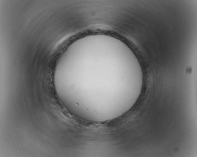 X0000112161112200909041120