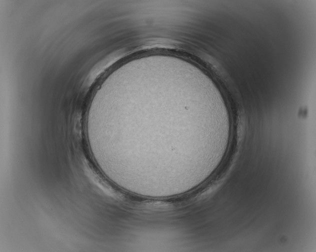 X0000112161113200909041120