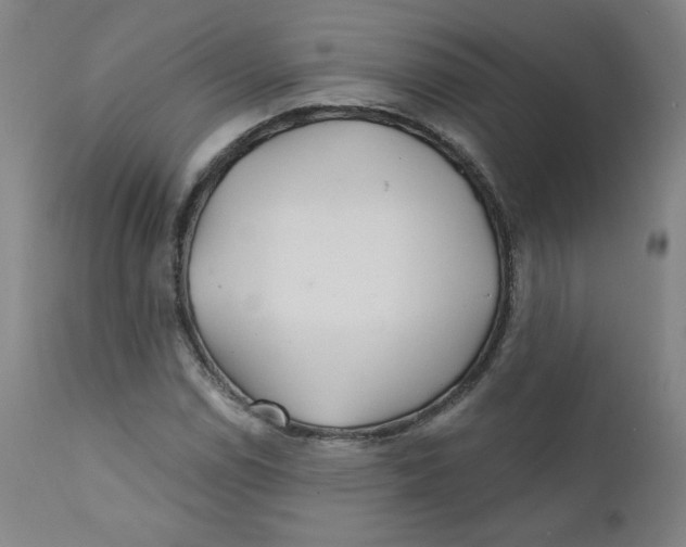 X0000112161114200909041120