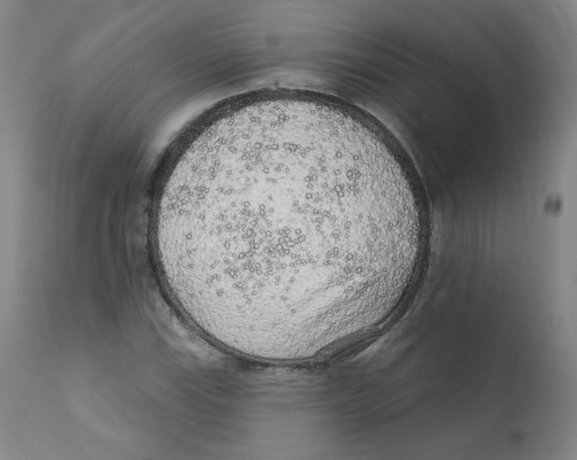 X0000112161115200909041120