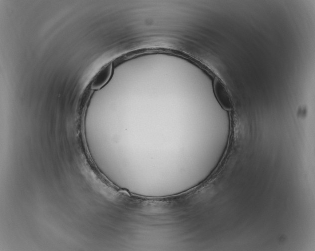 X0000112161116200909041120