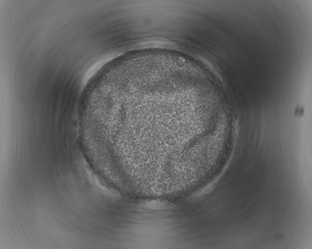 X0000112161117200909041120
