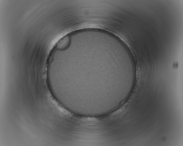 X0000112161119200909041120