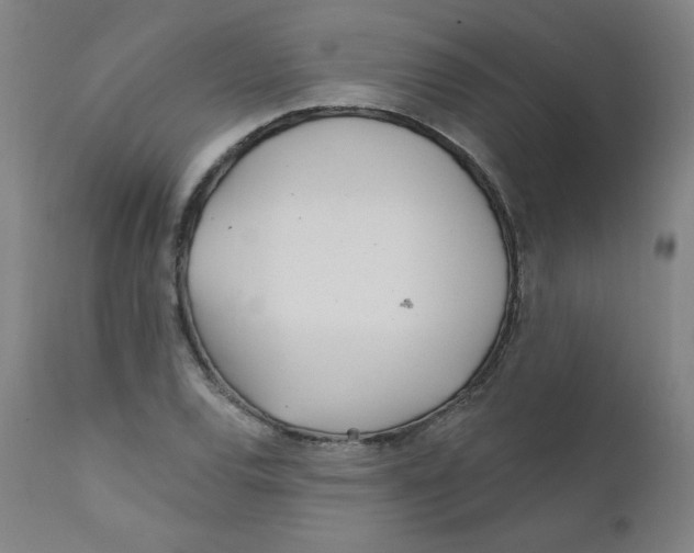 X0000112161120200909041120