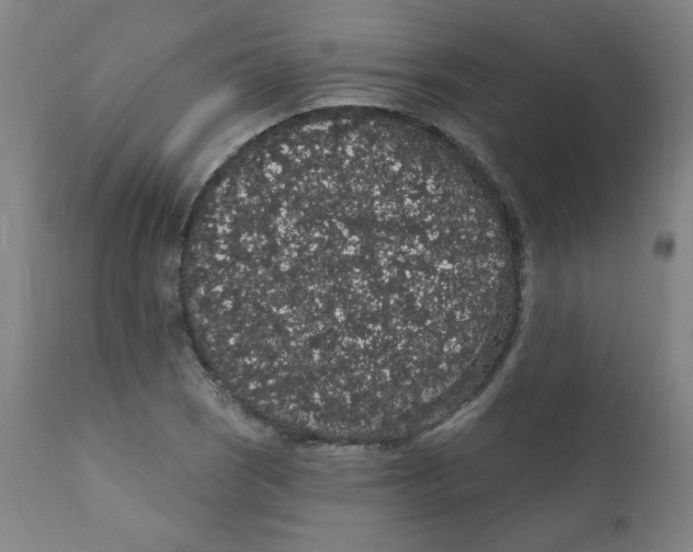 X0000112161121200909041120