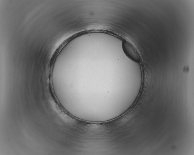X0000112161124200909041120