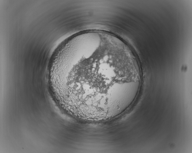 X0000112161125200909041120
