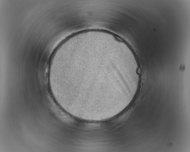 X0000112161126200909041120