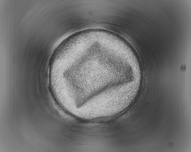 X0000112161127200909041120
