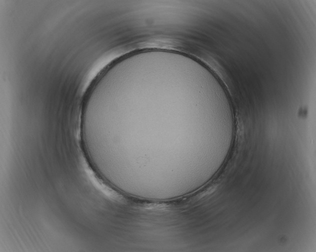 X0000112161131200909041120