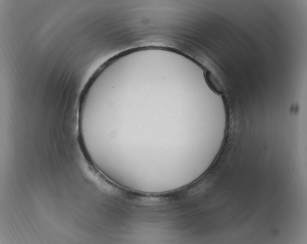 X0000112161132200909041120
