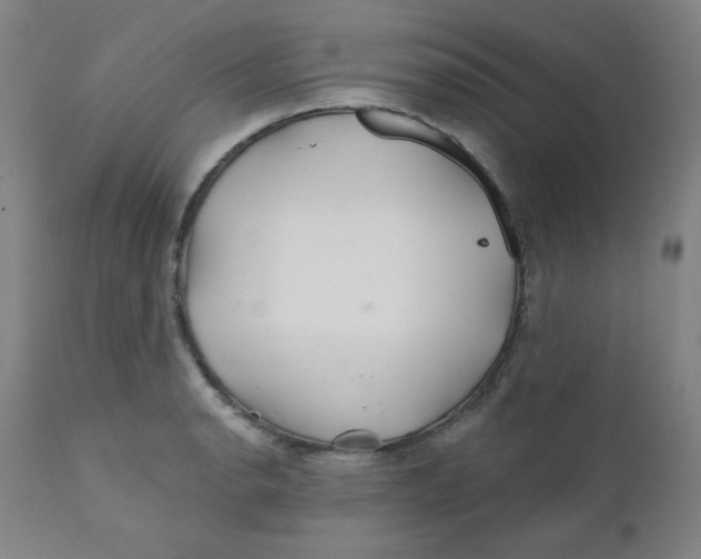 X0000112161134200909041120