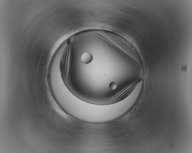 X0000112161136200909041120