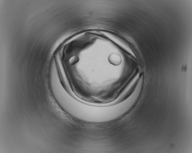 X0000112161138200909041120