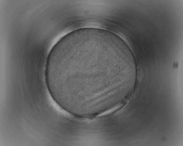X0000112161139200909041120
